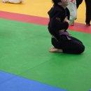 진짜 브라질 주짓수 배우기 좋은 파다 주짓수 후기