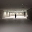 CROSSFIT MARVEL 이미지