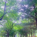 그림바위길 이미지