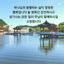 티웨이 제주항공 제주 편도 9천원 최저가 이미지