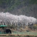 능암주유소 이미지