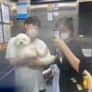 올리스 일산백석점 이미지