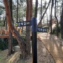 다복다복 이미지