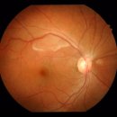 고등동물병원 이미지