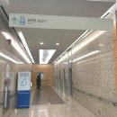 분당종로약국 앞 | [킬리만자로 등반] 분당서울대병원에서 황열병 예방접종 후기 탄자니아 여행 준비 + 파상풍 주사...