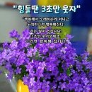 7월7일 라면교를 아십니까(재밋어 Revival) 이미지