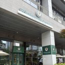 홀썸브레드 | 홀썸그라운드ㅣ하남 미사역 분위기 좋은 식물카페