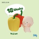 촌국수정식 | 임신 14주~18주 차, 항상 감사하는 엄마의 마음으로 성장하기