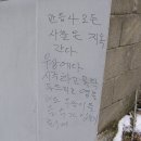 한국불교태고종관음사 이미지