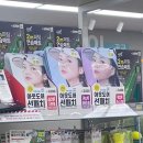 레몬 골프연습장 | 가성비 골프 연습은 다이소에서! 퍼팅 연습기 설치 방법과 꼭 사야 할 가성비 골프 소모품 BEST 5