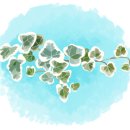 행복한 세탁이야기 이미지