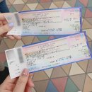 지민61 | 일본콘서트 도쿄돔 좌석표 3루 1층 돌출 시야 후기 로손티켓