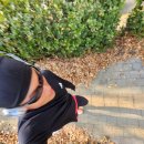 디나휘트니스 이미지