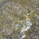 깊은 울림이 있는 팬플릇 이미지