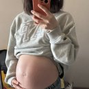 모라동물병원 | 제왕절개 후기 (feat: 인간은 망각의 동물이고…)