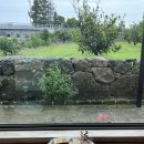 미깡밭스테이삼삼은구 이미지