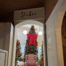 더존비앤씨티(강아지숲)/카페 겨울 | [성주] 리베볼 : 크리스마스 분위기, 대구근교카페 리베볼 솔직후기