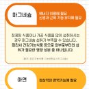 블렌즈