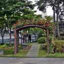 금천구청 앞 이미지