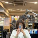 엘룩스헤어 | 주안역 미용실 :: 엘룩스 헤어 주안점