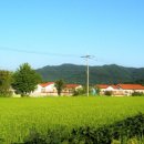 서라벌펜션 이미지