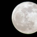 사계절오토캠핑장 이미지