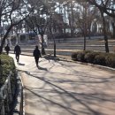 (주)월드뷰 | 석촌호수 러닝코스 완벽 정리 동호 서호 한바퀴 2.5km 롯데월드 뷰 낮 러닝 후기