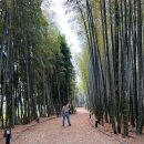 구도일주유소 순천햇살 | 2023.5월의 3박 4일 순천여행기(쏘카/대숲골농원/순천만국가정원/순천양조장/호텔디바인/깜짝생일파티)