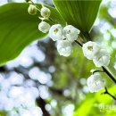 향기 - 남양주시 미금로 239 | 향기