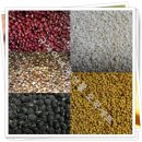 오곡 구성 이미지