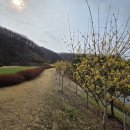 엉터리참통생구이법원점 | 20260401 파주cc 새벽 조인