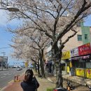 평생교육원 회전 교차로 이미지