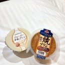 (주)은빈개발 | [일본 오사카 3박 4일 여행] 1일차: 피치항공 후기 &amp; 비바람 뚫고 시작한 도톤보리 먹방