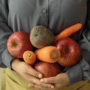 주식회사 초이스 이미지