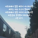 ＜오늘, 묵상＞ 하나님께서 기뻐하시는 푸른 초장을 향하여~ 이미지
