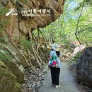동천여행사 | 충북 영동 당일치기 여행 코스 아름여행사 버스로 다녀온 2026 와인축제와 월류봉