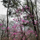 위례둘레길 이미지