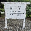 정선해뜨는민박펜션