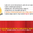 솔솔이와 고양이 슈퍼밴드 네이버블로그