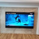 검암역 | 검단 무타공 TV 설치, '단디맨'이면 충분! 검암역 로얄파크 푸르지오 시공 후기