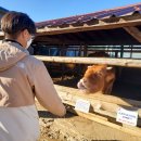 강원한우체험농장 이미지