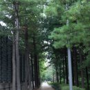 사임당로공원 내 이미지