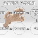 이쁘개 건강하개 이미지