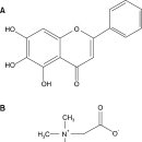 Modulation of Colitis-associated Colon Tumorigenesis by Baicalein, Betaine 이미지