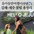 정한실업 | 숙소도 없이 떠난 제주여행 1일차! 15개월, 7세 두 아이와 김해공항 이용 후기