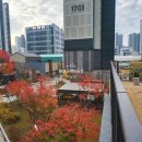 공립 회천한양수자인어린이집 이미지