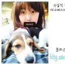 앙꼬맘마 이미지