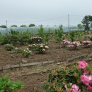 상록수영농조합법인 이미지