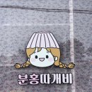 분홍따개비