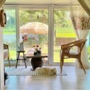 들꽃연가 이미지